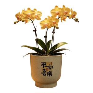 中式透气陶瓷花盆包邮特卖
