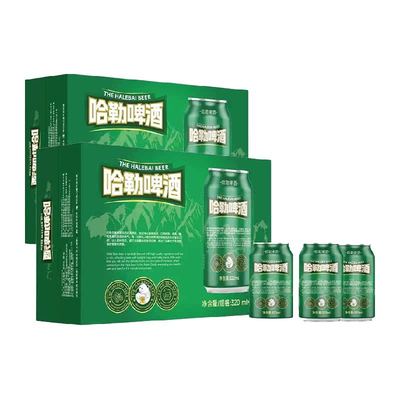哈勒精酿啤酒啤酒320ml×48罐