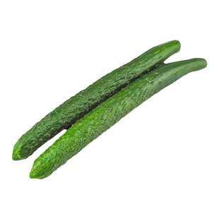 东升农场 供港刺青瓜黄瓜脆嫩凉拌榨汁火锅食材 广州配送500g