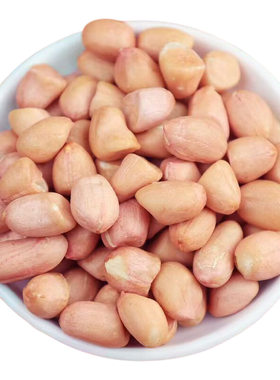 新鲜花生米原味颗粒生花生种子花生仁批发油炸新货鲜花新花生散装