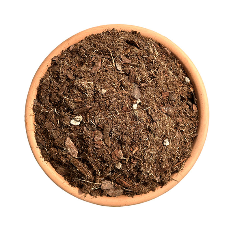 彩乐植月季土玫瑰绣球土专用种植粗泥炭松鳞配营养盆栽种植土