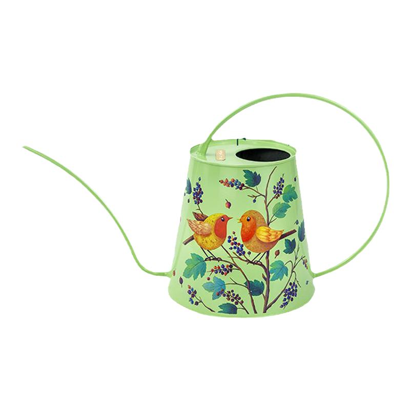 BerryBird长嘴浇花神器水壶家用多肉浇水壶欧式洒水壶bb园艺工具