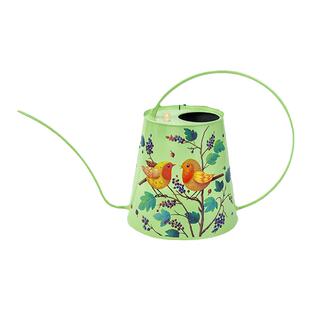 BerryBird长嘴浇花神器水壶家用多肉浇水壶欧式洒水壶bb园艺工具