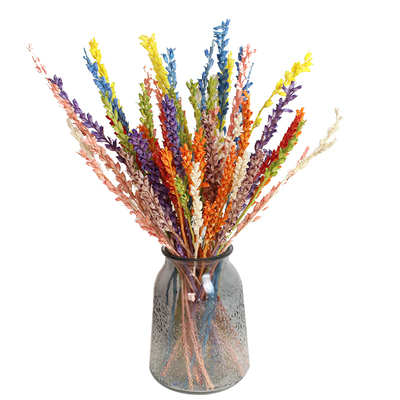 天仙子干花真花装饰摆设插花