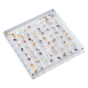 贝壳收纳盒磁吸亚克力相框海螺展示盒透明海边装海星标本收集盒子