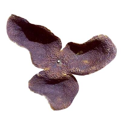 厂家直销6年陈梅江干仓储存陈皮