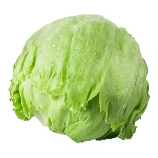 东升农场 西生菜 汉堡沙拉西餐轻食 火锅食材烧烤 广州配送400g