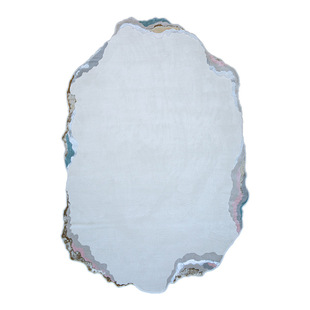 Dammi现代简约奶油风客厅沙发异性地毯卧室衣帽间极简床边毯高级