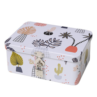 长方形小盒子家用证件文件信封大号收纳盒带锁零食储物盒密码铁盒