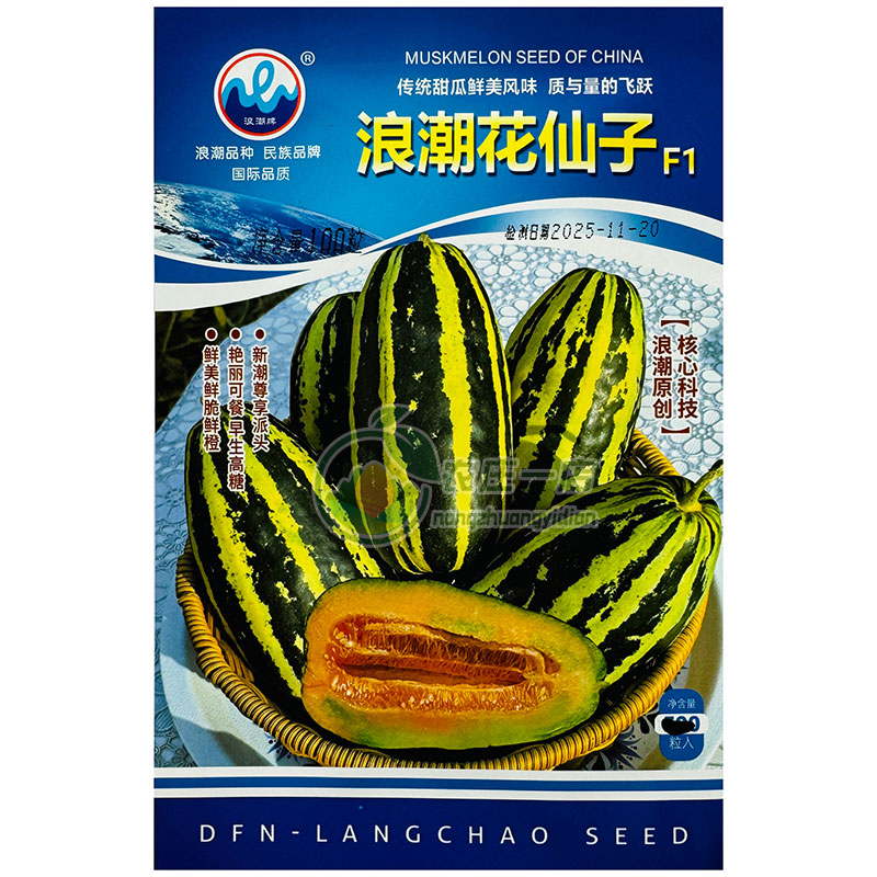 甜掉牙甜瓜种子博洋系列香瓜种籽