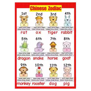 中国传统12生肖英文表达海报导图闪卡教具chinese zodiac农历年