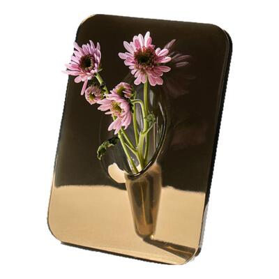 蝴蝶花瓶摆件客厅亚克力透明