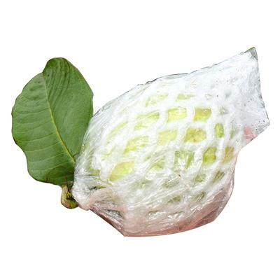 广西番石榴新鲜白心芭乐水果包邮当季白肉芭乐果软心香甜顺丰可选