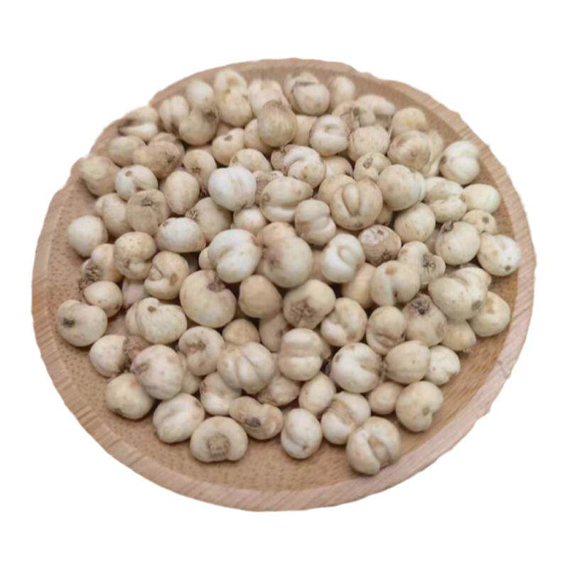 无硫正宗川贝母干粉小粒100g
