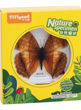 TITIGOOD千千谷魔块标本