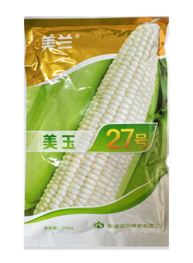 200g矮杆甜味玉米种子美玉27号