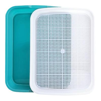 种子豆芽菜无土栽培育苗盘