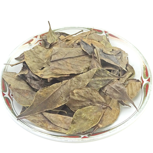南烛叶 天然纯新货 楠烛叶 南竹叶 墨饭叶乌饭树叶 500克包邮