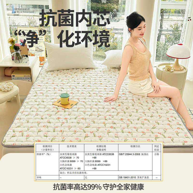 抗菌床垫软垫家用卧室垫被褥子防滑床护垫床宿舍单人床盖炕单铺底
