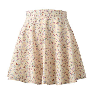 Floral high-waisted invisible zip skirt 碎花高腰隐形拉链短裙