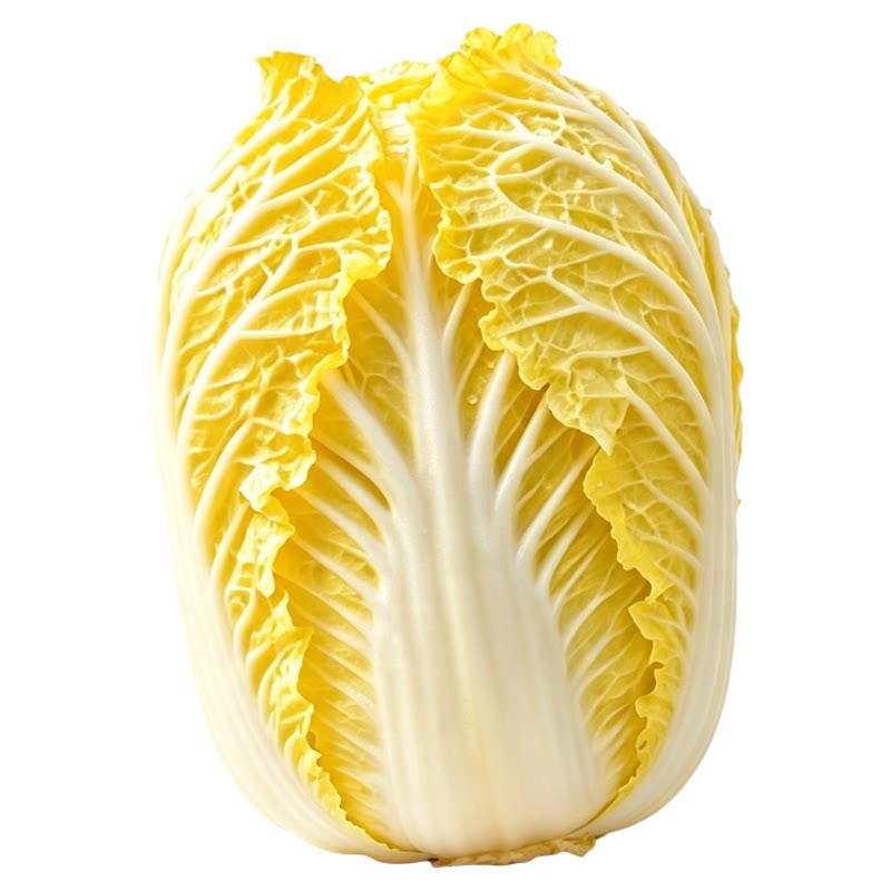 四季鸡蛋黄大白菜种子早熟高产适合庭院阳台盆栽鸡蛋黄白菜籽种子