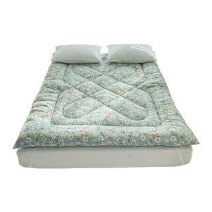 床褥子春秋冬天铺床褥子床垫铺底软垫家用卧室垫被加厚保暖垫子冬