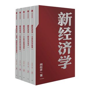 新经济学 向松祚 著 经济学研究新范式 经济体系行为经济学 经济创新 增长点 中信出版社图书 正版书籍