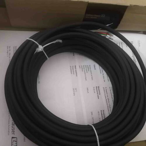 议价现货EH溶解氧监视器COS41-4F溶解氧电极COS41-4F感测器正品议