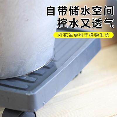 移动花盆托盘万向轮沥水透气大底托带滑轮底座树脂接水盘花托包邮