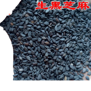 河南驻马店黑芝麻生新货杂粮纯农家自种散装自产500g村里味平舆