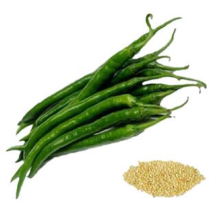 线椒苗子种苗孑苗辣椒四季苗种海椒秧蔬菜批量南方线湖南秧苗大全