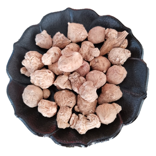 珠儿参中药材 精选正品珠子参 扣子七 疙瘩七 钮子七 珠子参粉