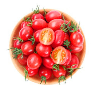 台湾农友千禧小番茄种子番茄苗子粉红圣女果种籽甜度高四季蔬菜苗