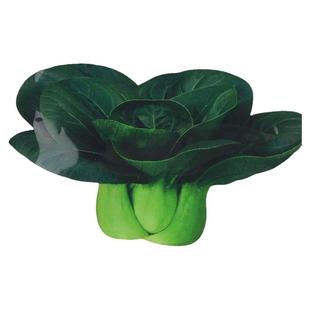 黑叶矮脚苏州青种子油菜种籽菜籽菜籽小青菜蔬菜孑上海青大全青梗