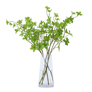 ins北欧风花艺仿真绿植吊钟叶子马醉木植物插花摆件客厅装饰摆设