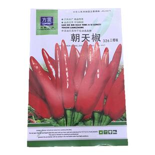 满天星红色小米辣椒盆栽阳台种植朝天椒种子辣椒泡椒特辣蔬菜种子