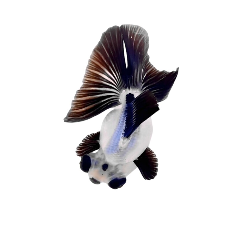 精品熊猫蝶尾金鱼活鱼龙睛黑白观赏鱼淡冷水小金鱼好养耐活易养活