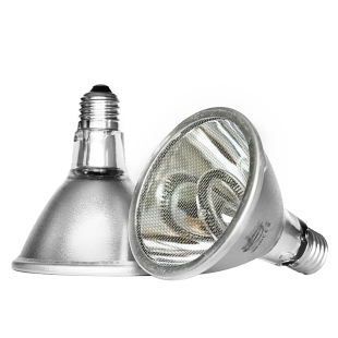 爬虫加热灯节能碳纤维夜灯陆龟蜥蜴变色龙饲养箱红外加热器防烫