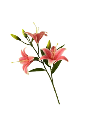 新品百合花仿真花假花绢花可水洗新星百合餐桌花摆件客厅婚庆装饰