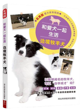和爱犬一起生活边境牧羊犬