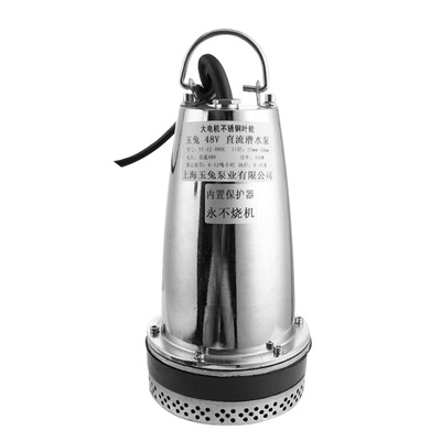 电瓶车大流量农用潜水泵12v24v36