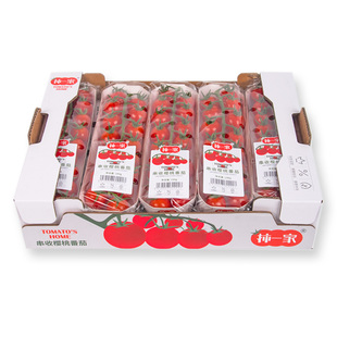 柿一家串收樱桃番茄198g*10礼盒装新鲜水果千禧圣女果小西红柿