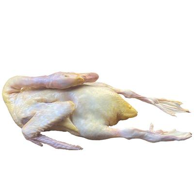 桃李旺农家散养番鸭6.2斤