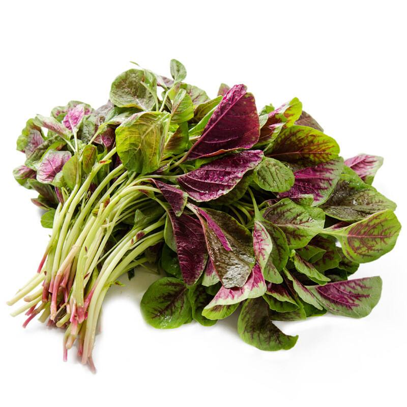 花红苋菜种子蔬菜野生菜农家菜籽