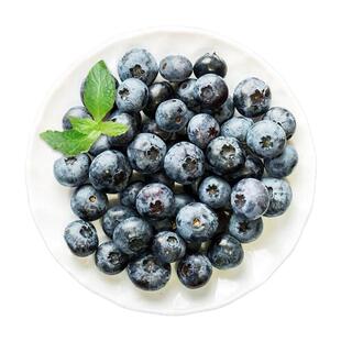 花香大蓝莓鲜果山东露天L25蓝莓新鲜现摘脆甜大果孕妇水果宝辅食