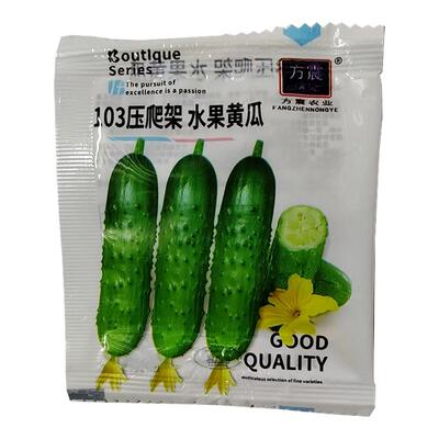 3包方震四季黄瓜种子新手易种