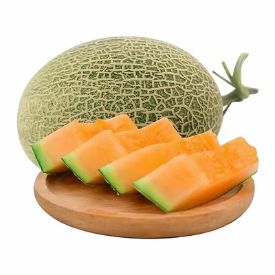 【顺丰包邮】海南西州蜜瓜哈密瓜