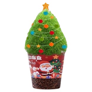 学生春节小礼物种植盆栽盲盒幼儿园diy迷你观察圣诞限定植物种子