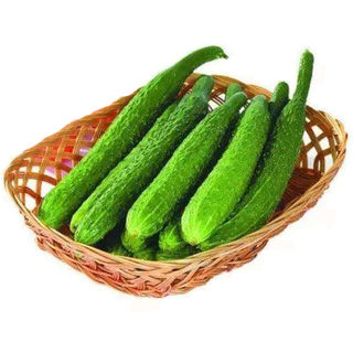 高产老品种绿心黄瓜种子种籽苗水果秋蔬菜旱菜种籽种带土秧苗大全
