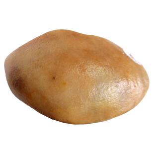 500克新疆克拉玛依金丝玉原石戈壁彩玉戈壁玉籽料宝石光雕料-YG